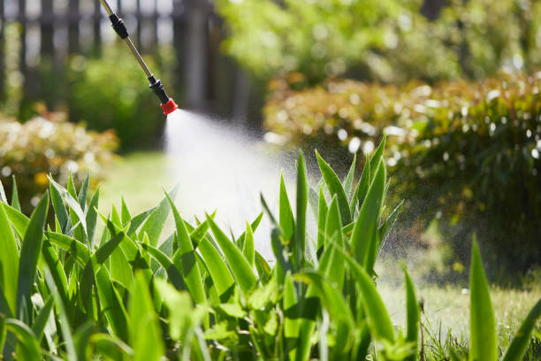 24/7 Emergency Mosquito Control experts in North Warren, PA
