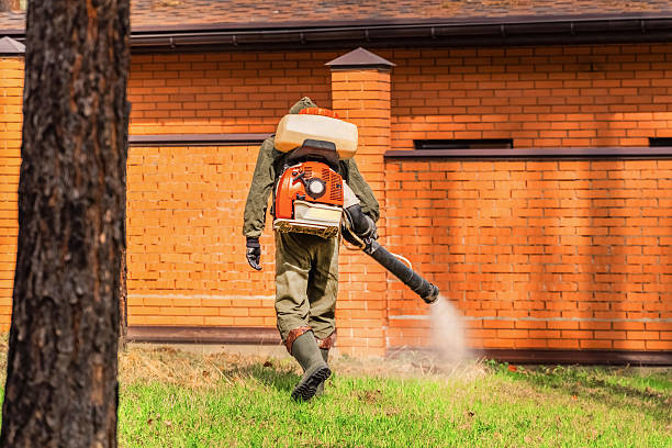 Top rated local Mosquito Control specialists in North Warren, PA